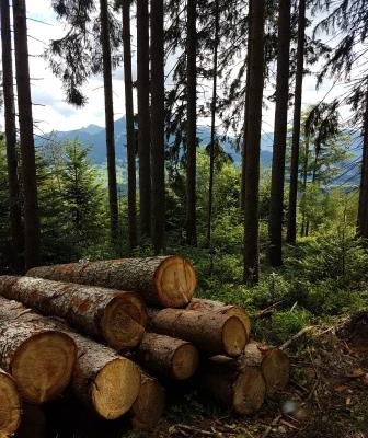 Naturcoaching Fischbachau